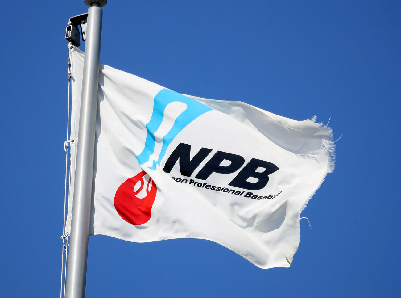 阪神対オリックス　NPB旗（撮影・加藤哉）
