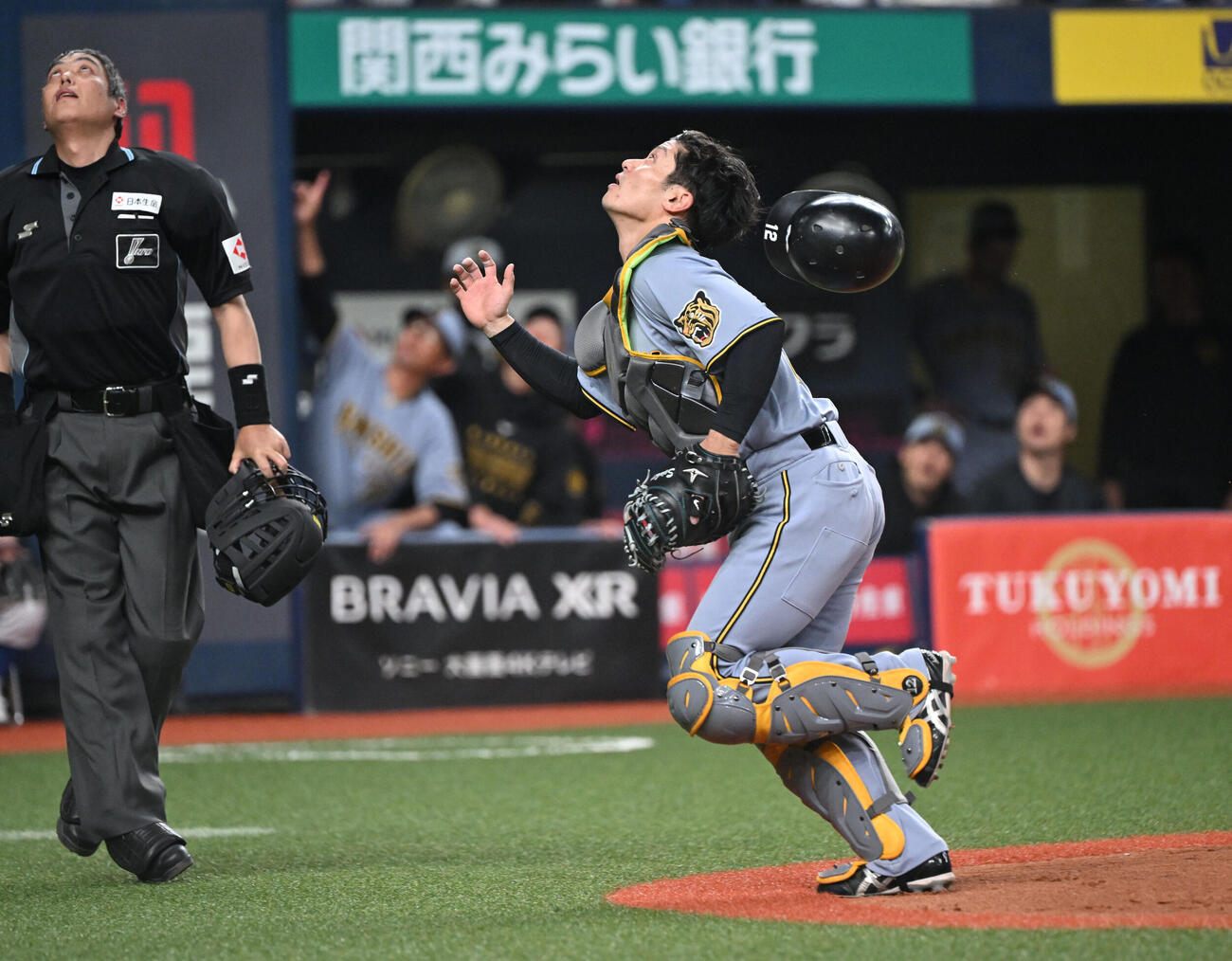 オリックス対阪神　2回裏オリックス無死、森友のファウルを追う捕手坂本（撮影・和賀正仁）
