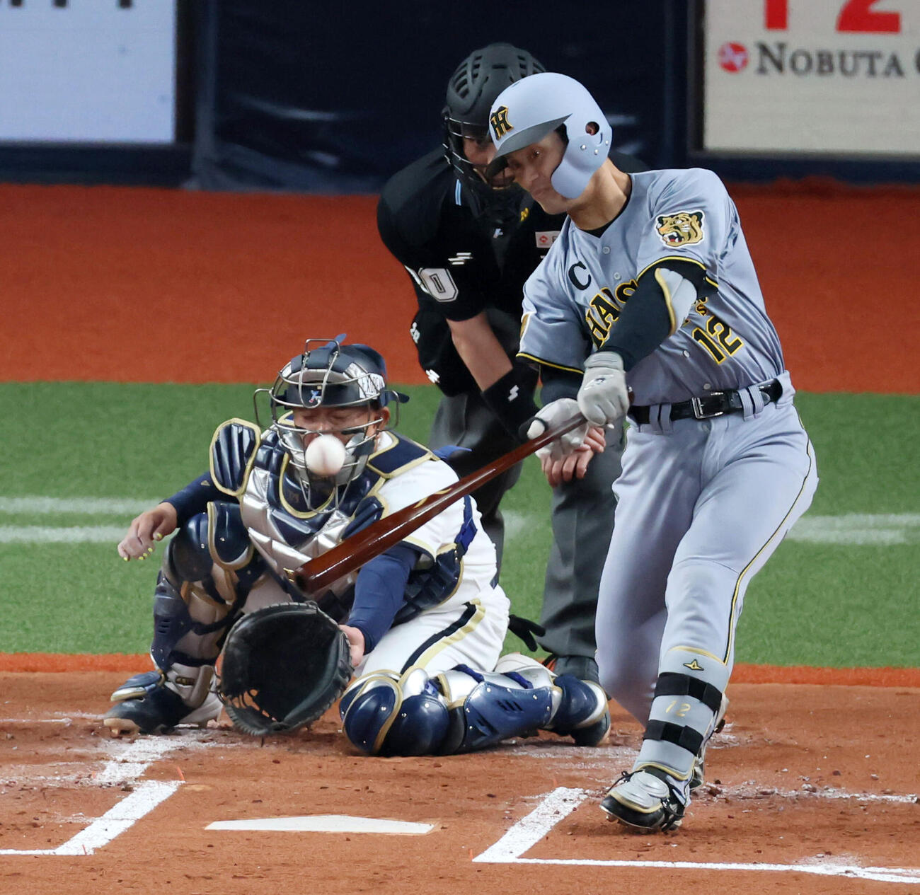 オリックス対阪神　2回表阪神1死満塁、坂本は左前2点適時打を放つ（撮影・加藤哉）