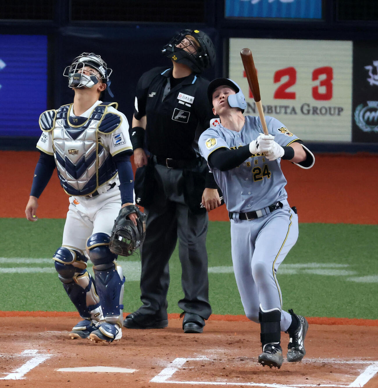 オリックス対阪神　7回表阪神無死、ディベイニーは一邪飛を打ち上げる（撮影・加藤哉）