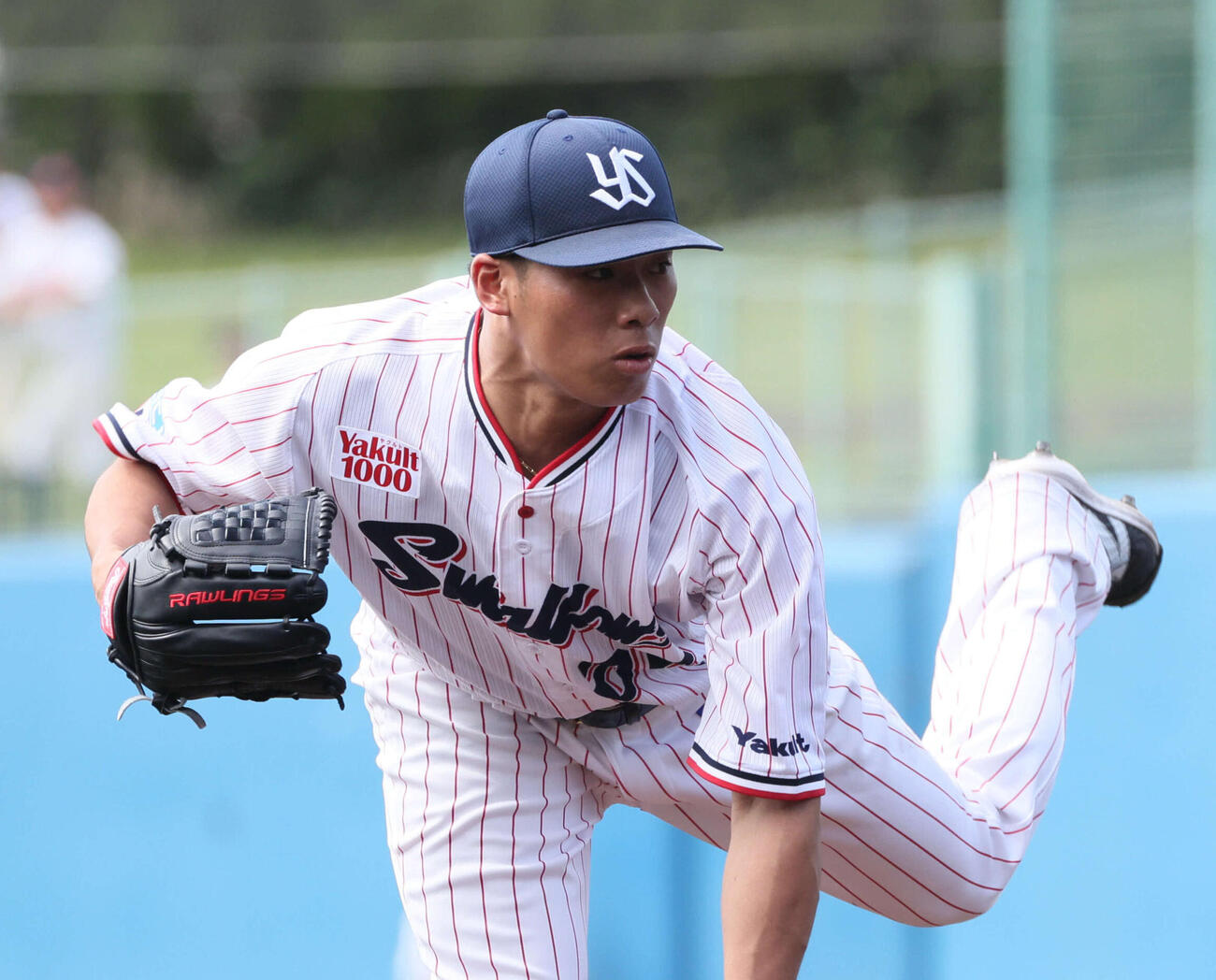 ヤクルト山野太一（26年2月撮影）