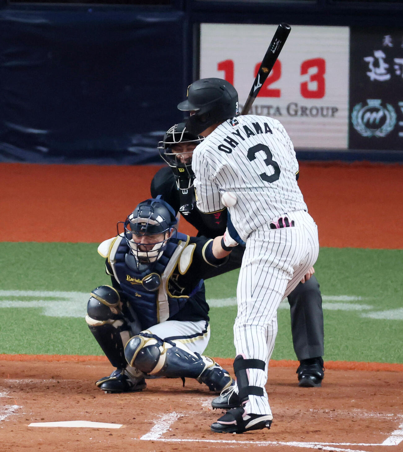 阪神対オリックス　4回裏阪神1死、死球を受ける大山（撮影・加藤哉）