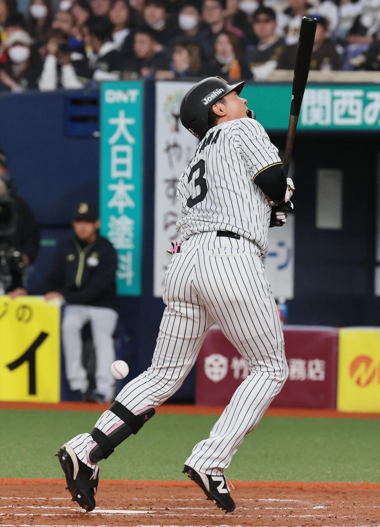 阪神対オリックス　4回表阪神1死、大山は死球を受ける（撮影・宮崎幸一）