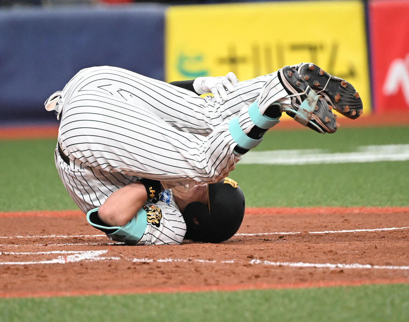 阪神対オリックス　5回裏阪神無死、死球を受ける伏見（撮影・和賀正仁）