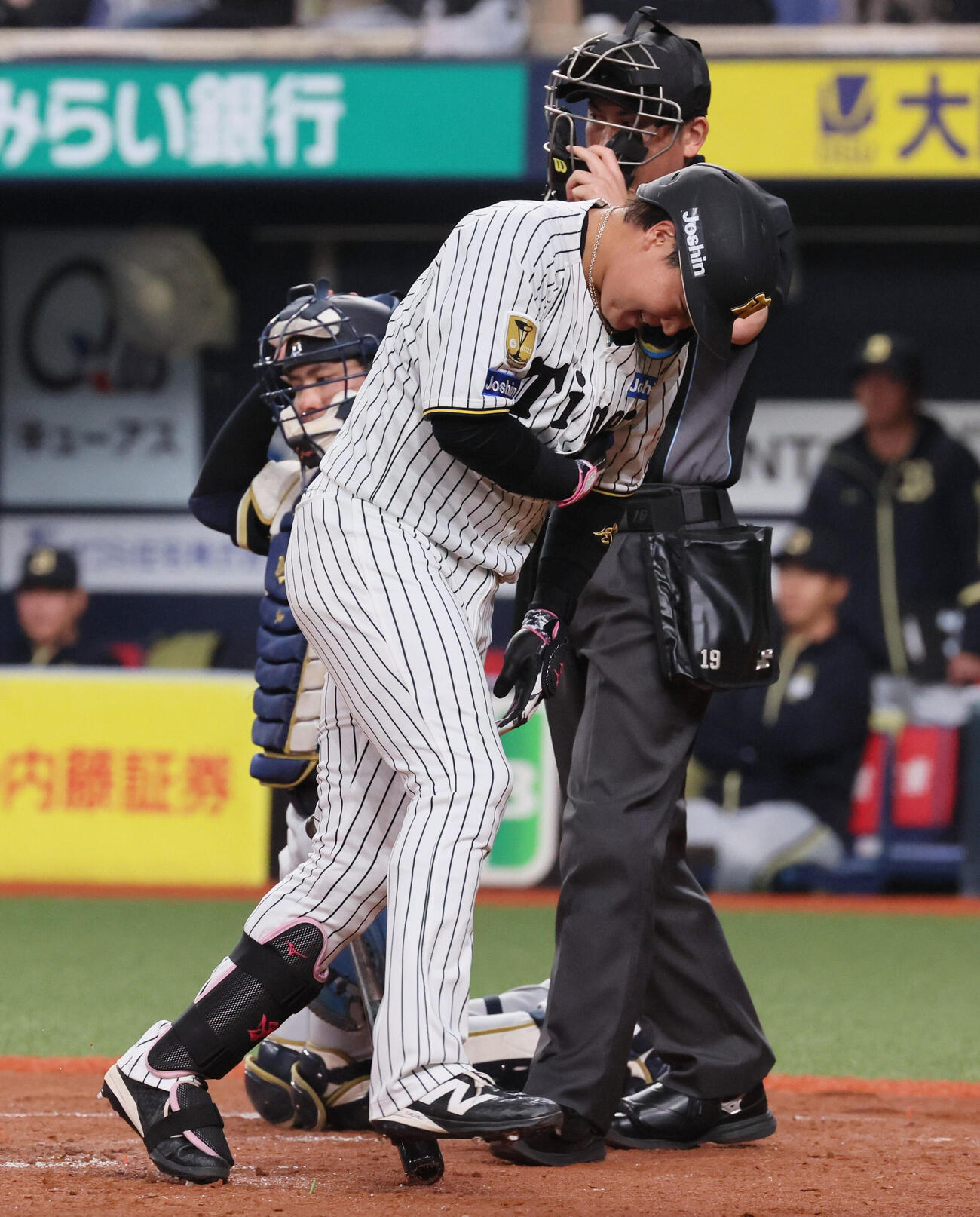 阪神対オリックス　4回表阪神1死、大山は死球を受ける（撮影・宮崎幸一）