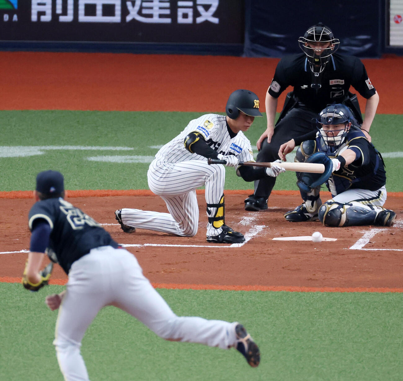 阪神対オリックス　2回裏阪神2死一塁、DHに入った高橋はバントする。投手九里（撮影・加藤哉）
