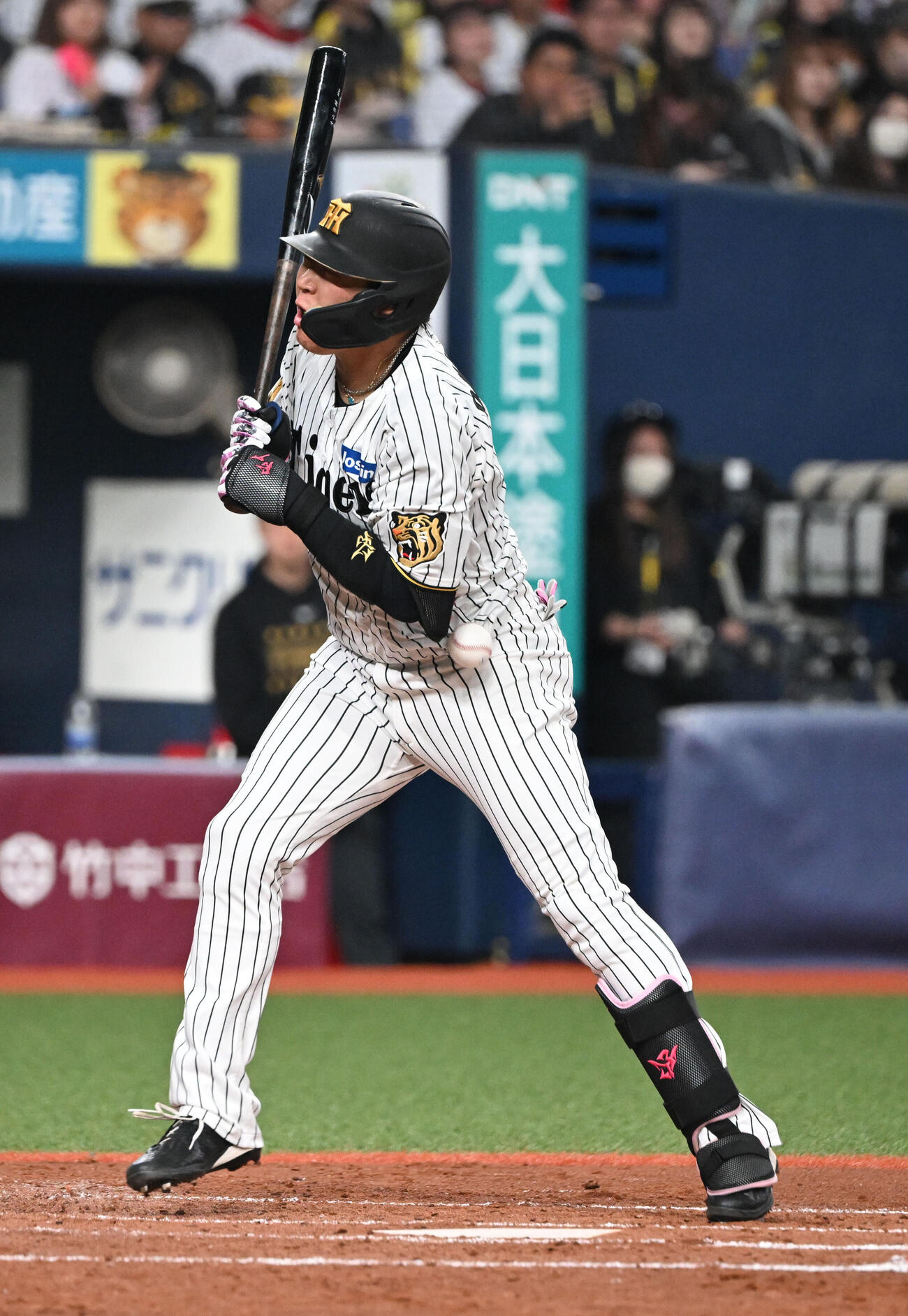 阪神対オリックス　4回裏阪神1死、死球を受ける大山（撮影・和賀正仁）