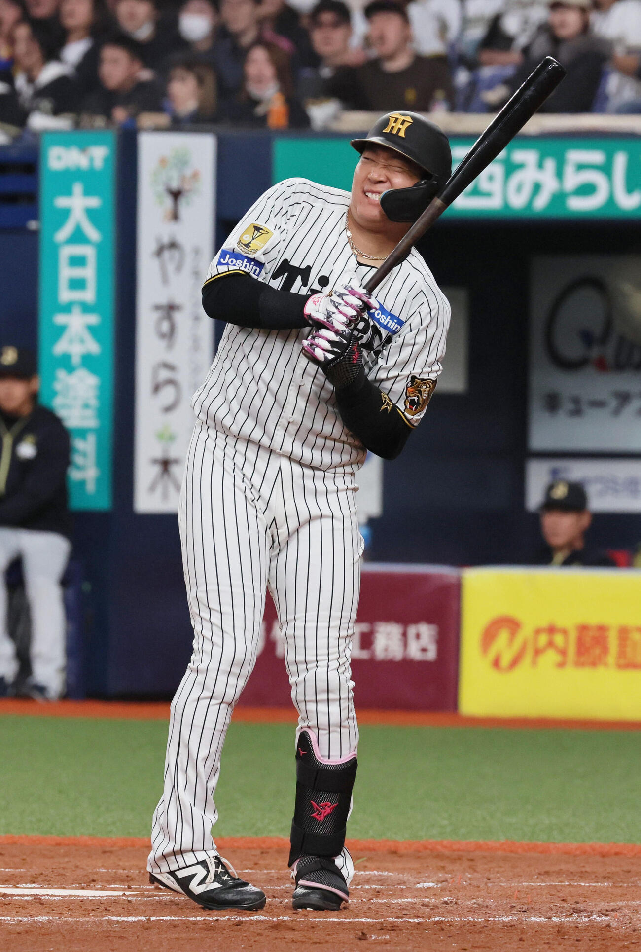 阪神対オリックス　4回表阪神1死、大山は死球を受ける（撮影・宮崎幸一）