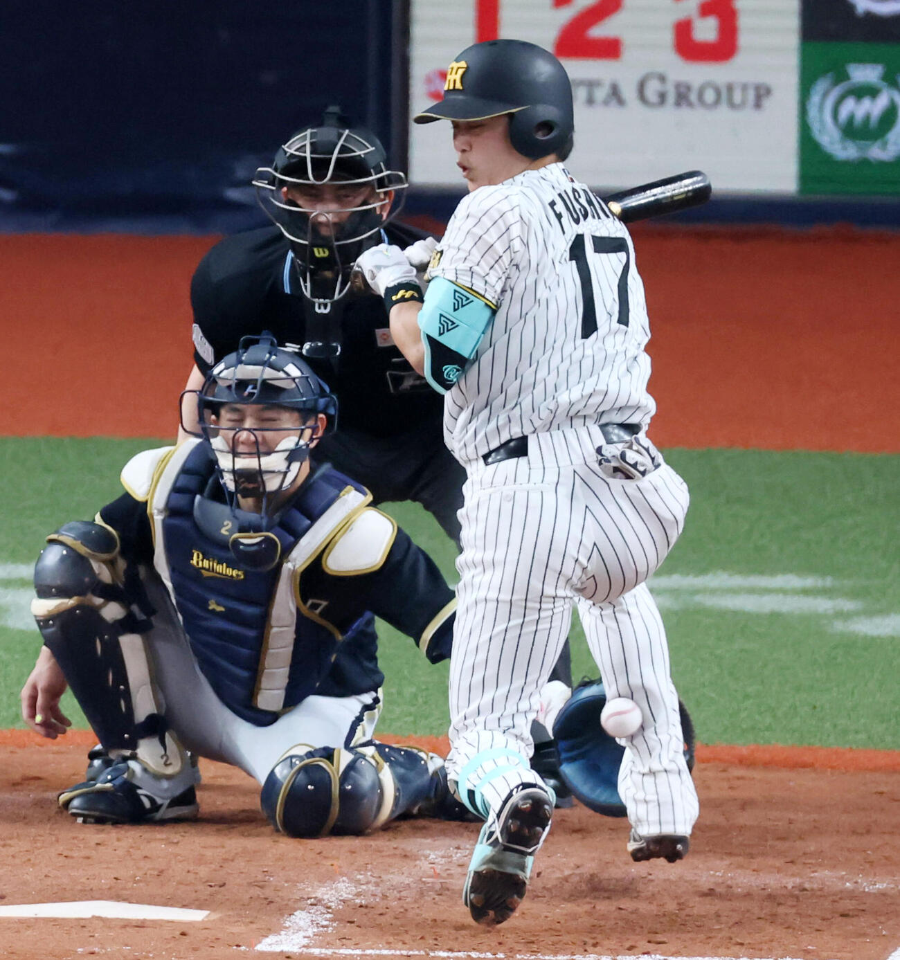 阪神対オリックス　5回裏阪神無死、死球を受ける伏見（撮影・加藤哉）