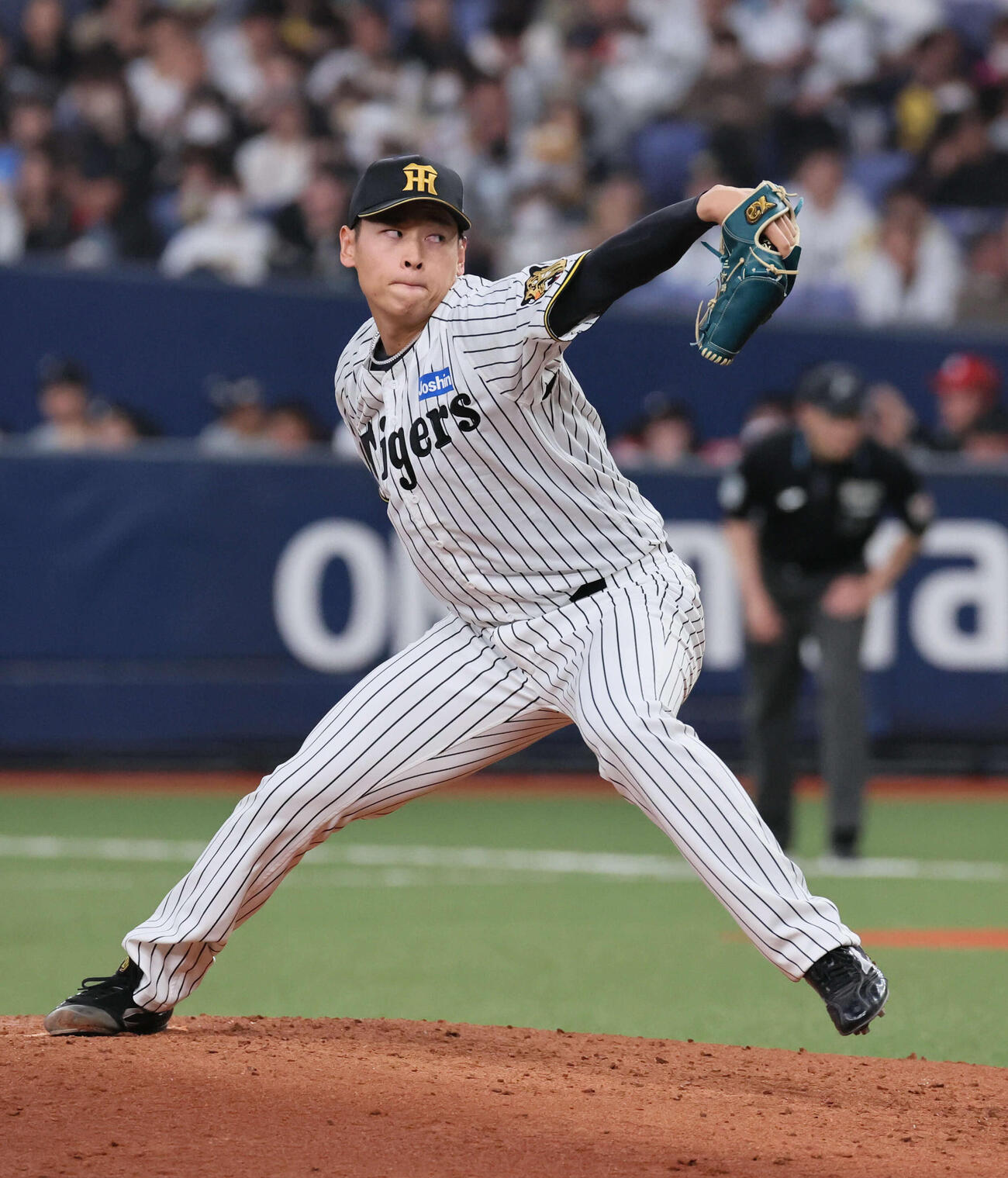阪神対オリックス　阪神2番手の早川（撮影・宮崎幸一）