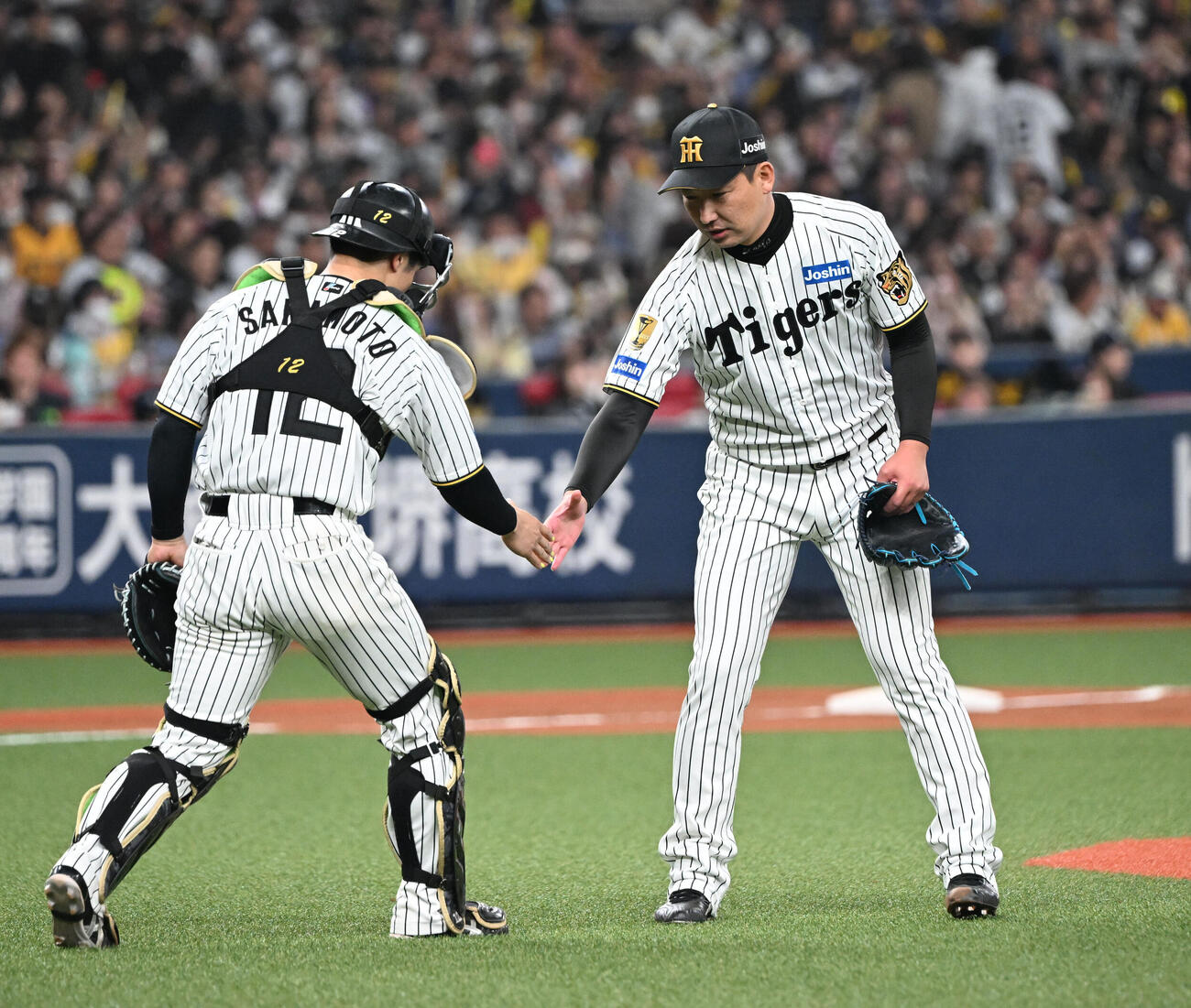 阪神対オリックス　9回を締めた阪神岩崎（右）と坂本は握手を交わす（撮影・和賀正仁）