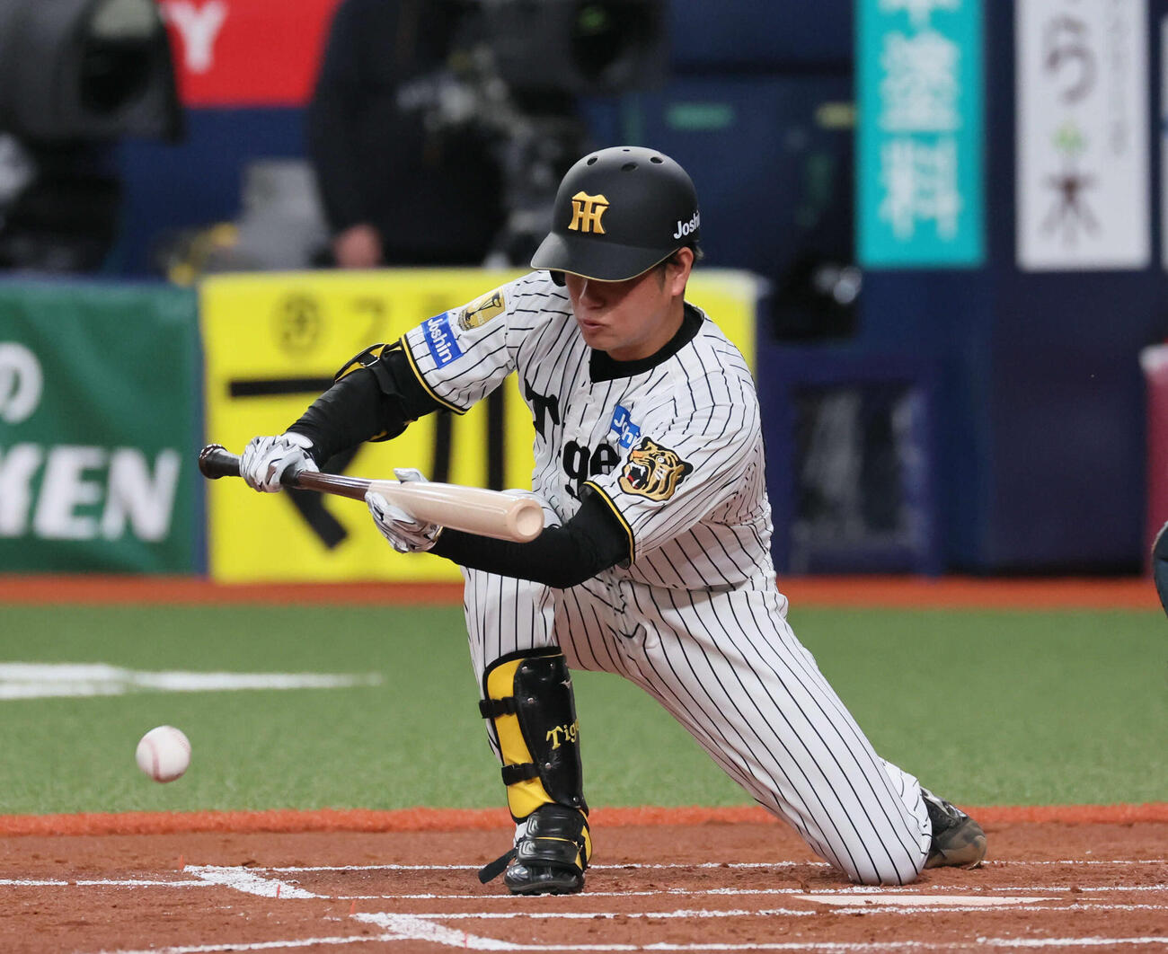 阪神対オリックス　2回裏阪神2死一塁、高橋はバントする（撮影・宮崎幸一）