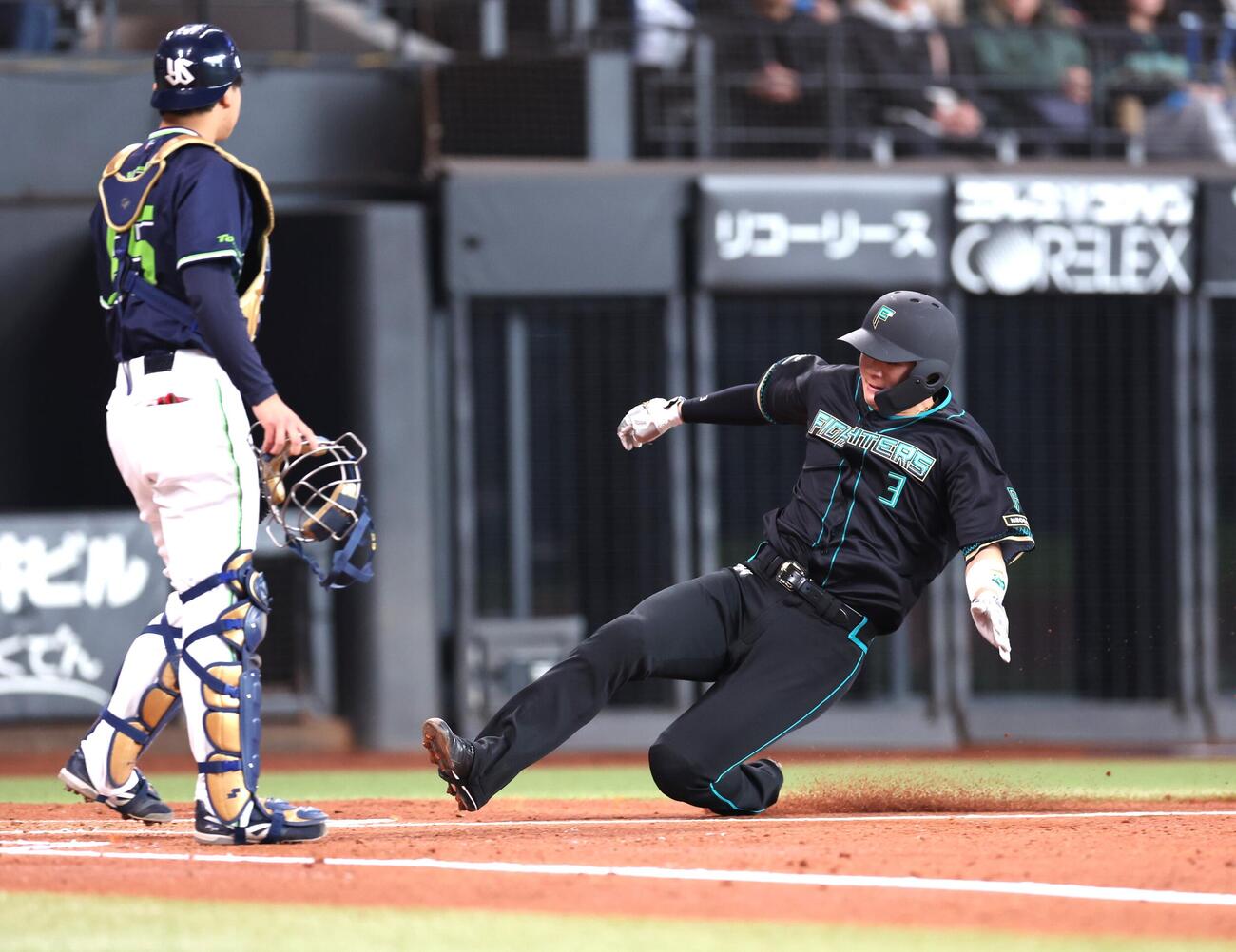 日本ハム対ヤクルト　1回裏日本ハム2死一、三塁、一塁走者野村が一二塁間で挟まれる間に、三塁走者郡司が本塁に生還（撮影・黒川智章）