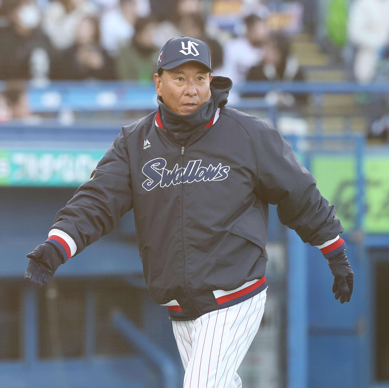 ヤクルト池山隆寛監督（2026年3月14日撮影）