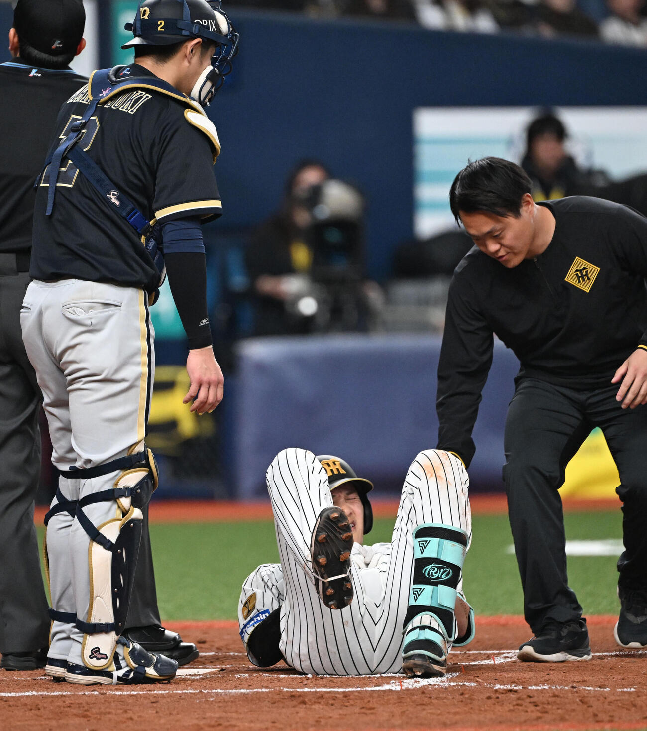 阪神対オリックス　5回裏阪神無死、死球を受ける伏見（撮影・和賀正仁）