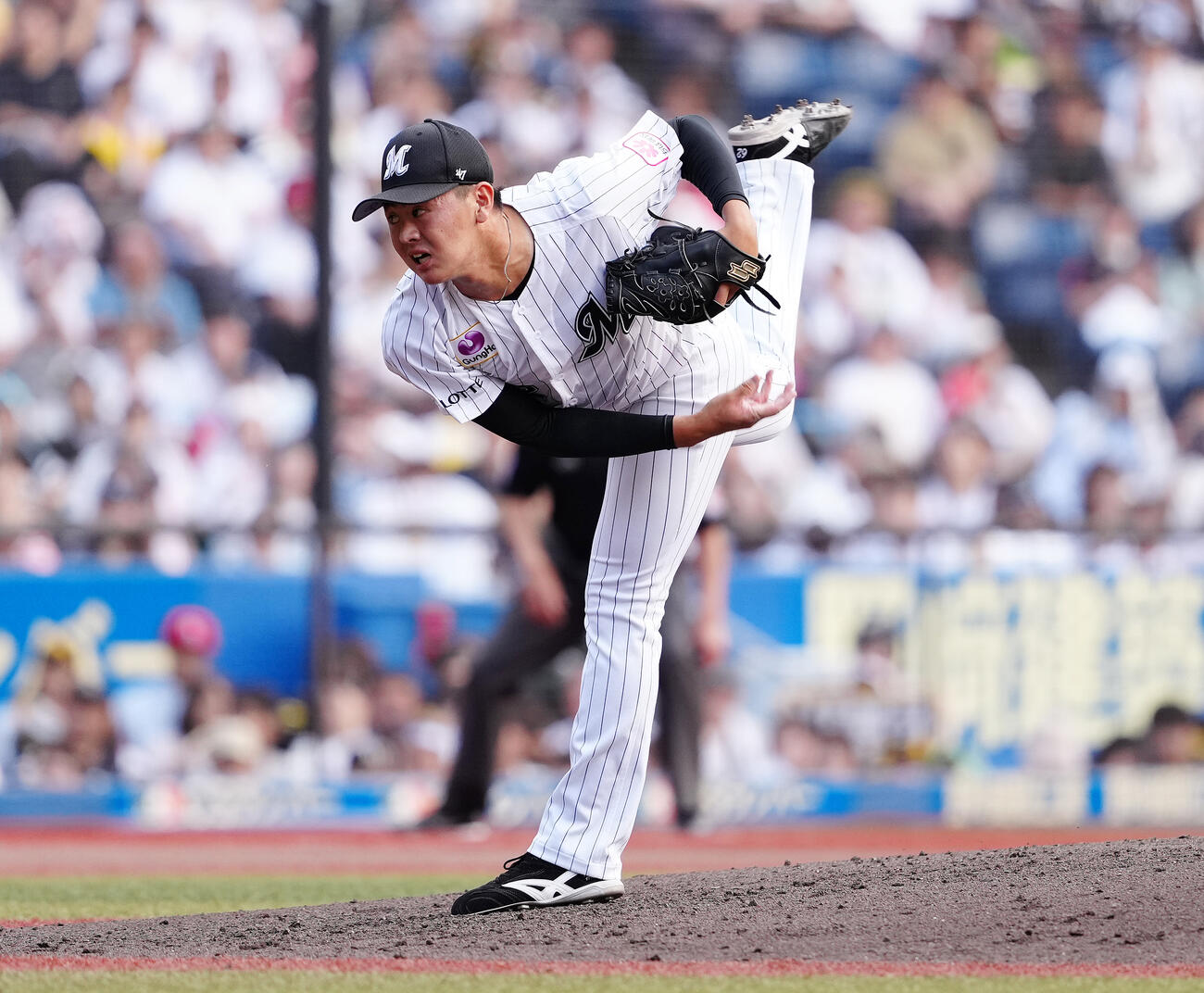ロッテ坂井遼（2025年10月撮影）