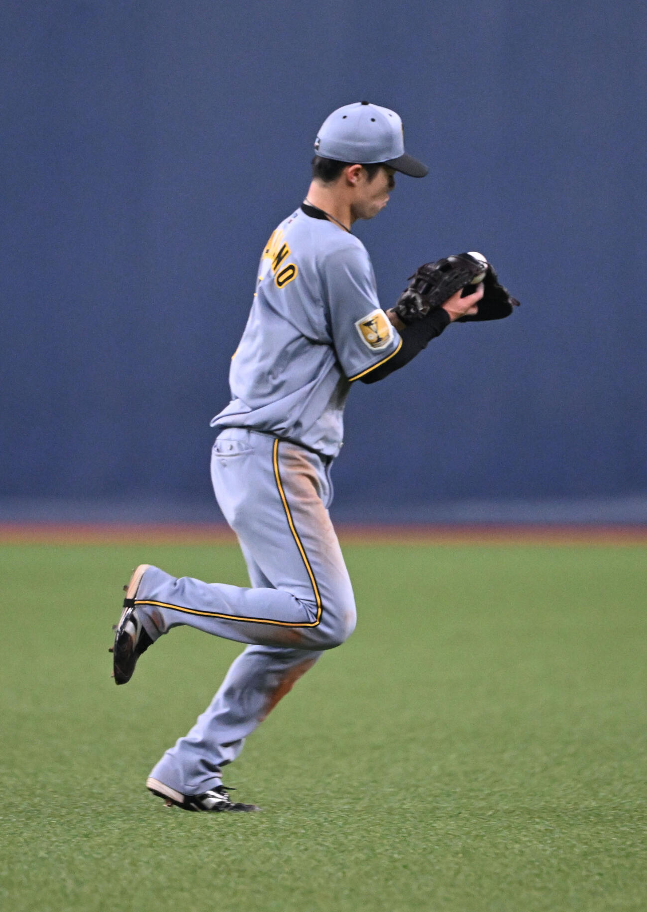 オリックス対阪神　4回裏オリックス1死、西川の打球を好捕した中野はグラブにはさまったボールを見る（撮影・和賀正仁）