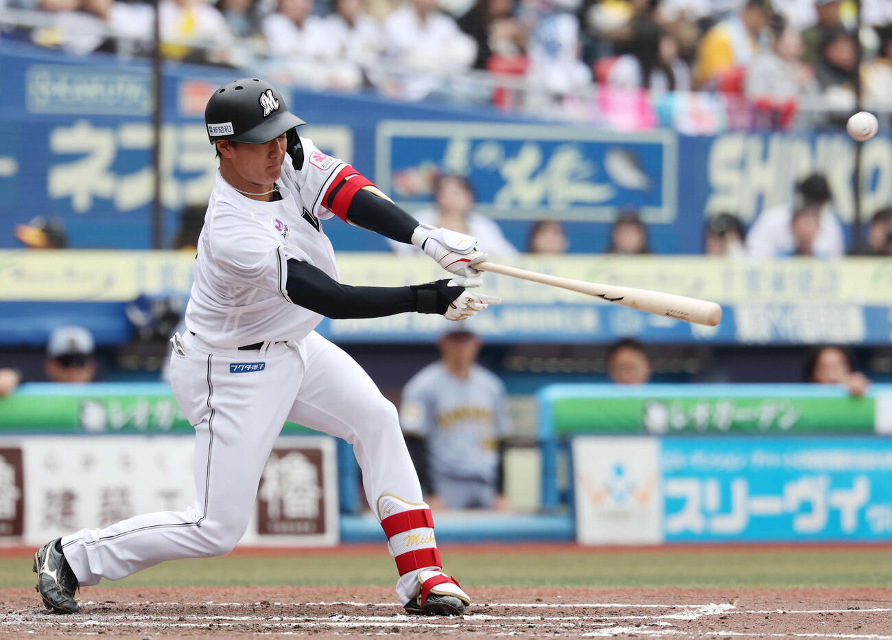 ロッテ西川史礁（26年3月撮影）