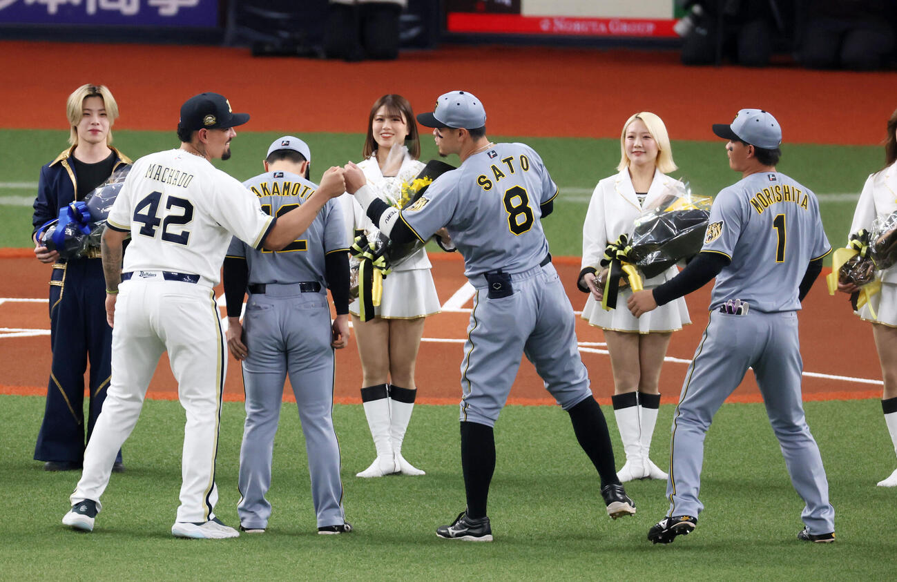 オリックス対阪神　WBC出場選手に花束が贈られ、優勝したベネズエラ代表のオリックスマチャド（左）とタッチする阪神佐藤。左は坂本、右は森下（撮影・加藤哉）