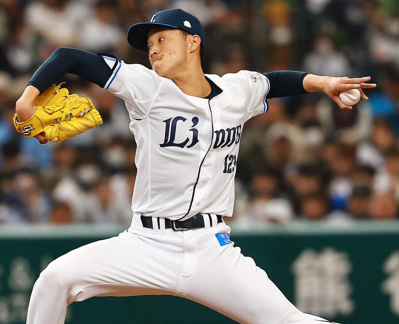 西武対DeNA　力投する西武冨士（撮影・野上伸悟）