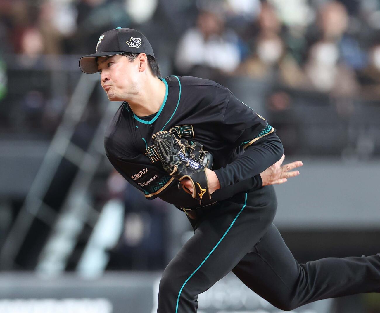 日本ハム対ヤクルト　日本ハム先発の有原（撮影・黒川智章）