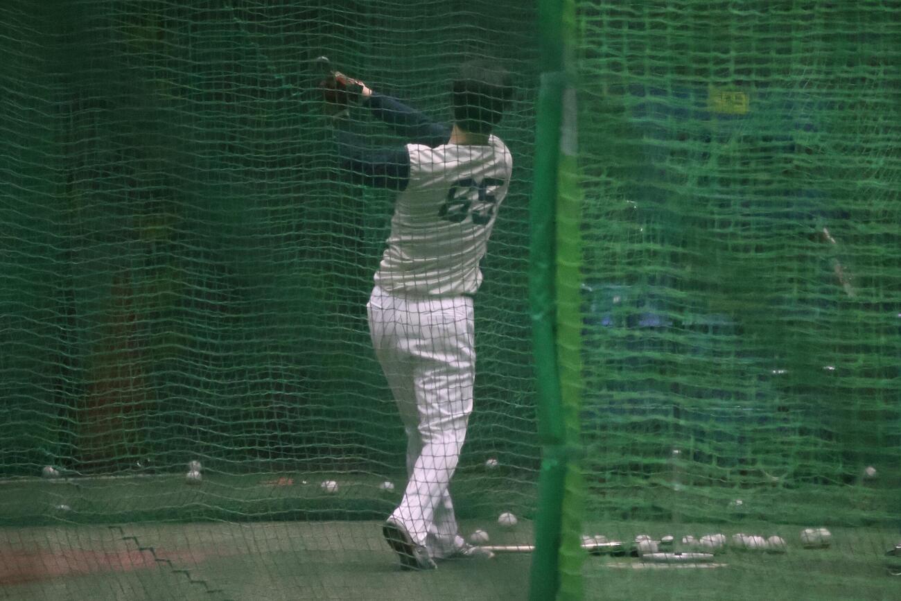 打撃練習を行うヤクルト鈴木叶（撮影・塚本光）