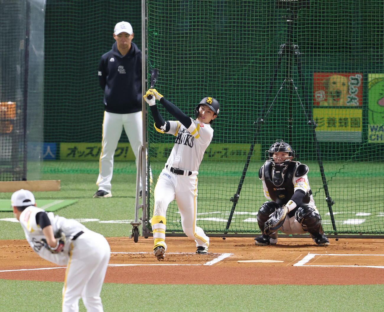 ライブBPで打席に入り調整するソフトバンク周東（撮影・梅根麻紀）