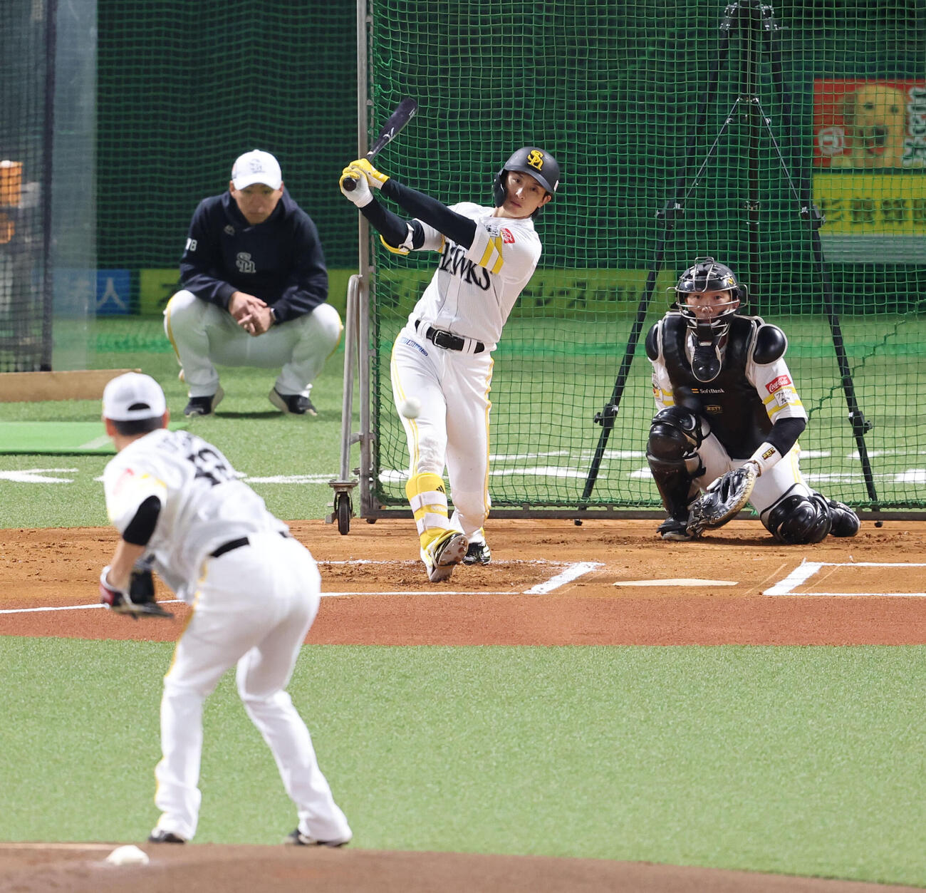 ライブBPで打席に入り調整するソフトバンク周東（撮影・梅根麻紀）