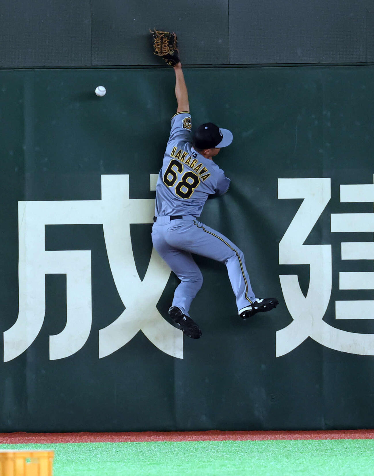 外野守備練習で、フェンスに飛びつく阪神中川（撮影・浅見桂子）