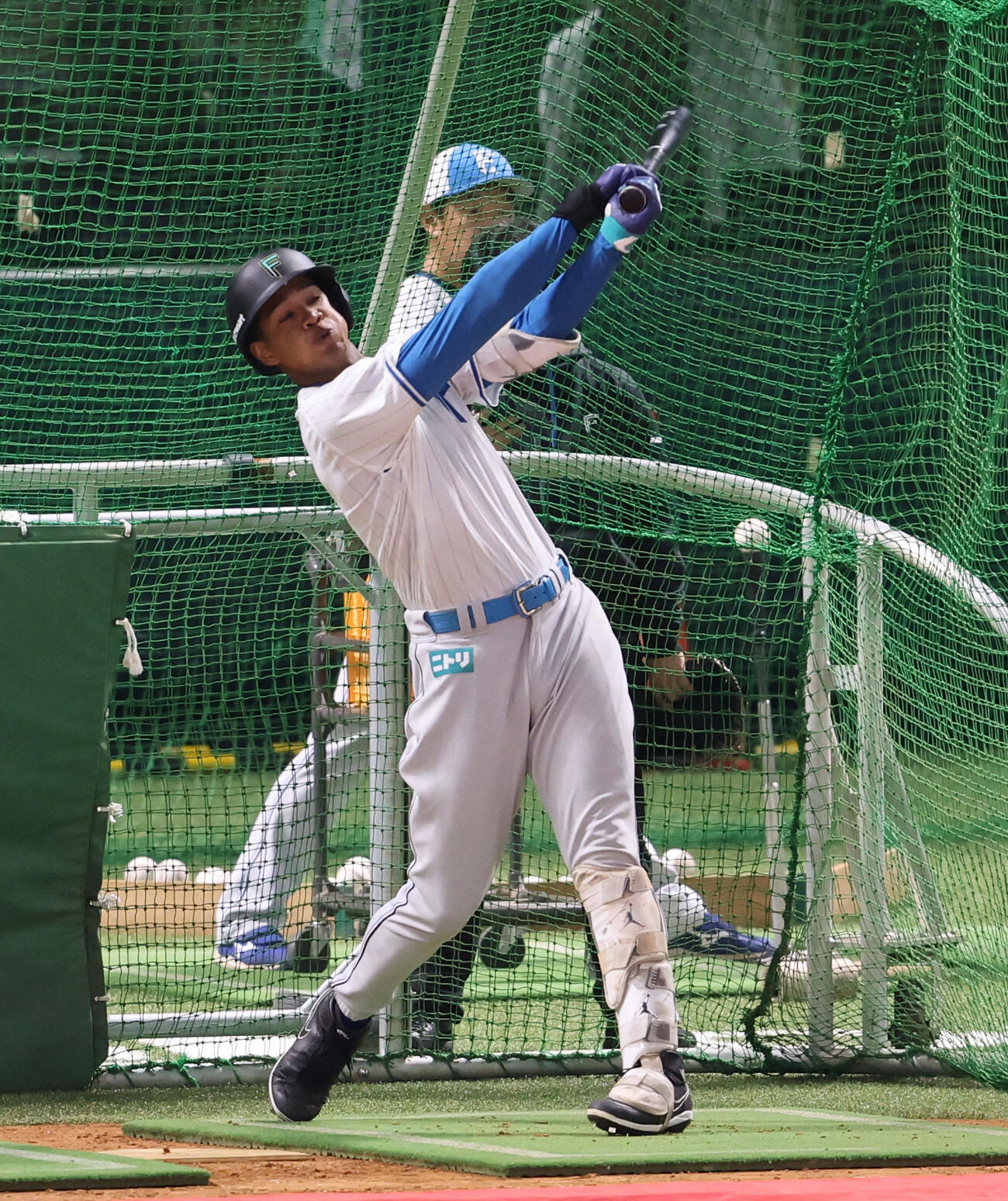 打撃練習をする日本ハム万波（撮影・梅根麻紀）