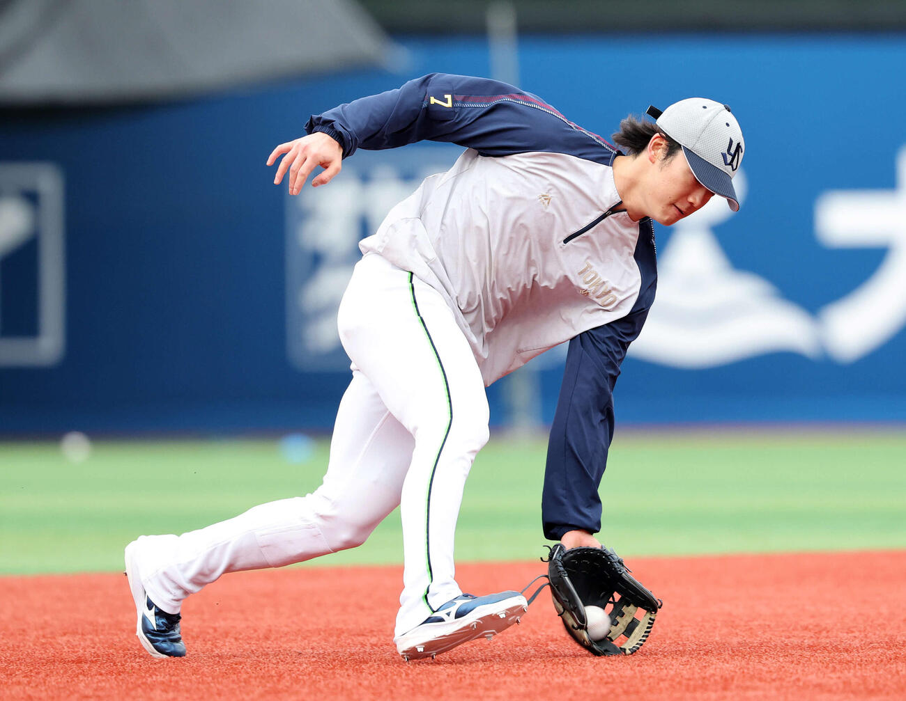 守備練習するヤクルト長岡（撮影・鈴木正人）　