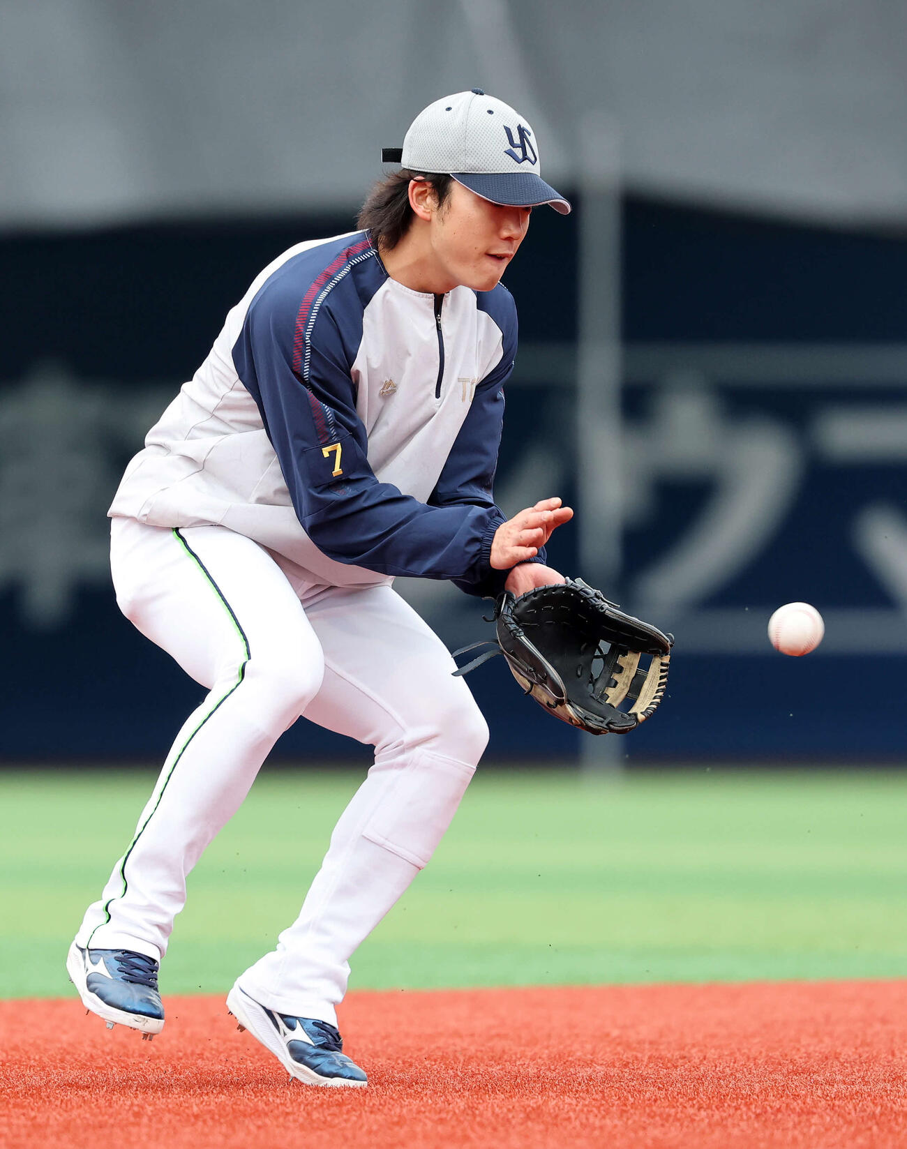 守備練習するヤクルト長岡（撮影・鈴木正人）　