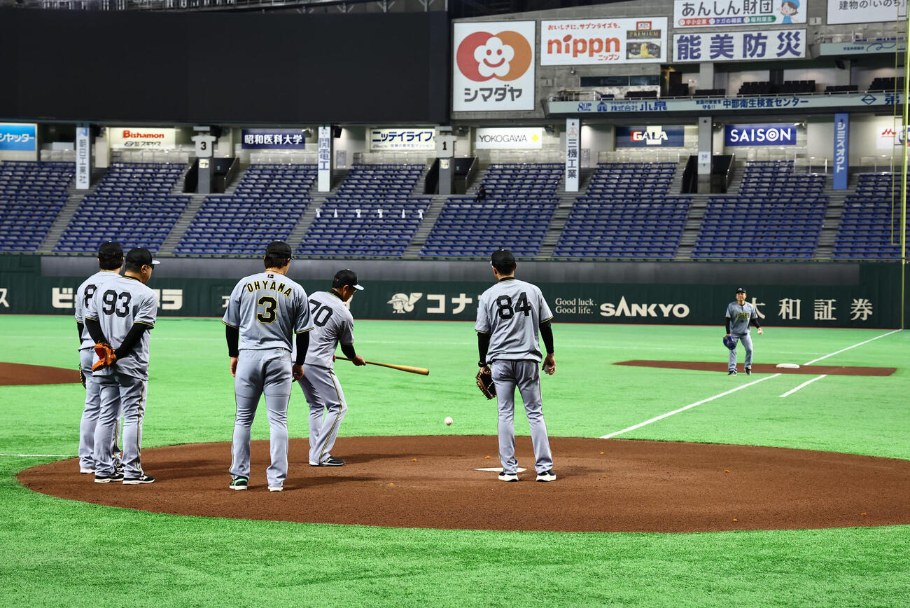 東京ドームの新しい人工芝のボールの転がり方を確認する阪神ナインとコーチ陣（撮影・上田博志）