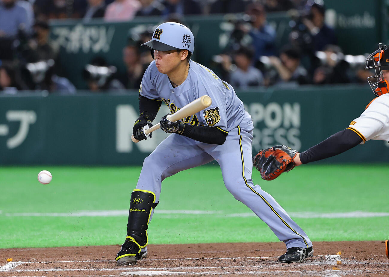 巨人対阪神　3回表阪神無死一塁、村上は送りバントを失敗する（撮影・上田博志）