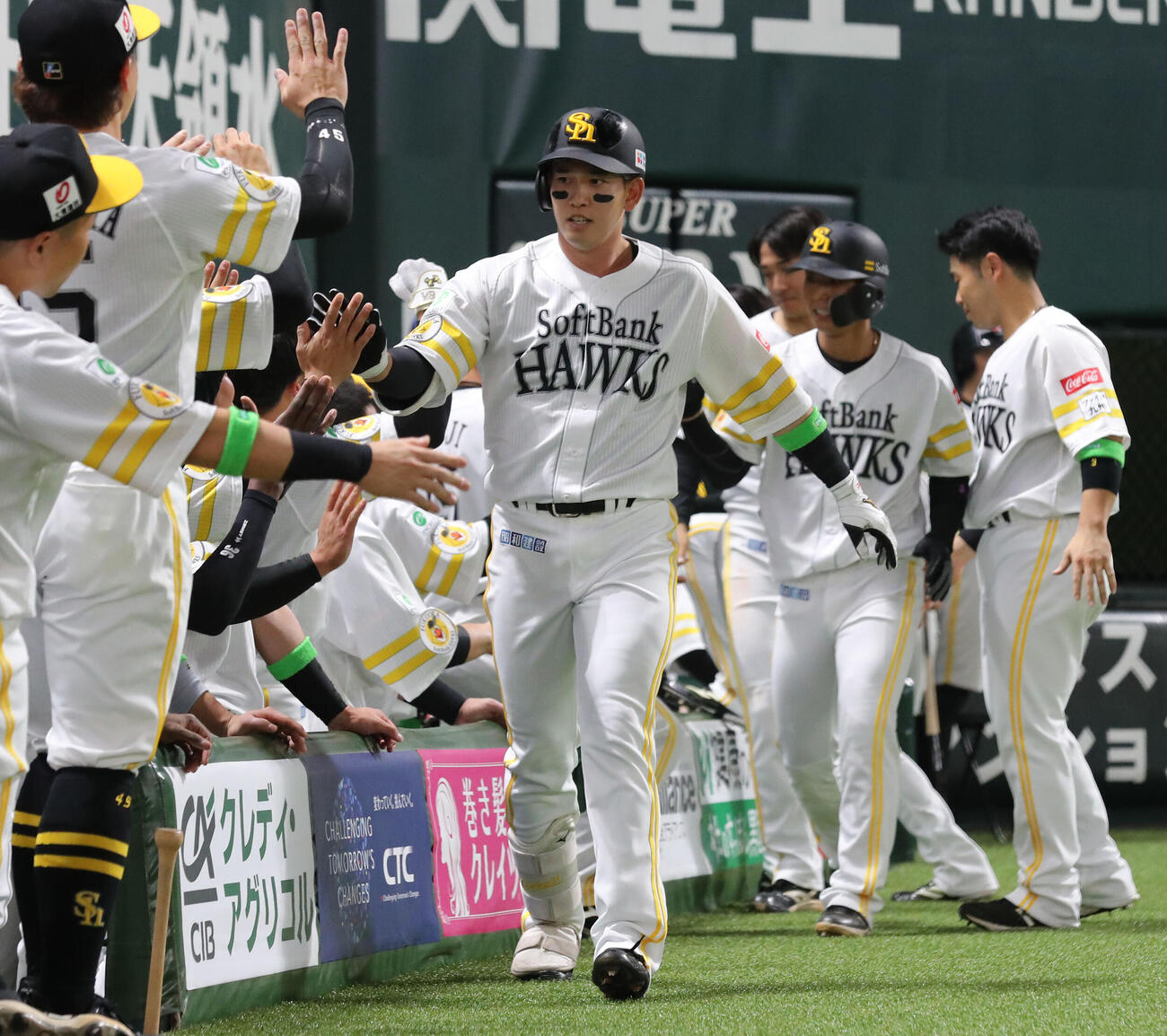ソフトバンク対日本ハム　2回裏ソフトバンク1死一塁、栗原は左中間に2点本塁打を放ちベンチのナインとハイタッチ（撮影・梅根麻紀）