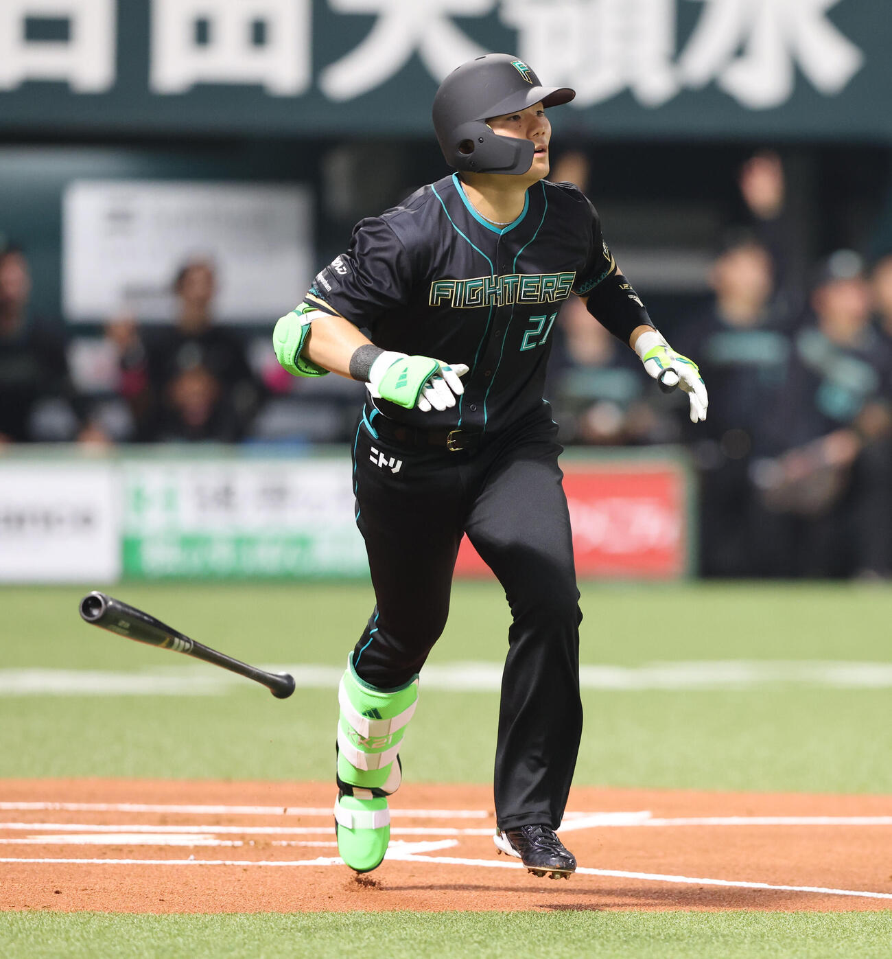 ソフトバンク対日本ハム　1回表日本ハム無死一塁、清宮幸は右越えに先制となる2点本塁打を放つ（撮影・梅根麻紀）