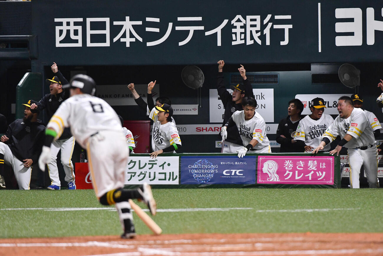 ソフトバンク対日本ハム　8回裏ソフトバンク1死一、三塁、牧原大（手前）の勝ち越し右犠飛に歓喜するソフトバンクナイン（撮影・岩下翔太）