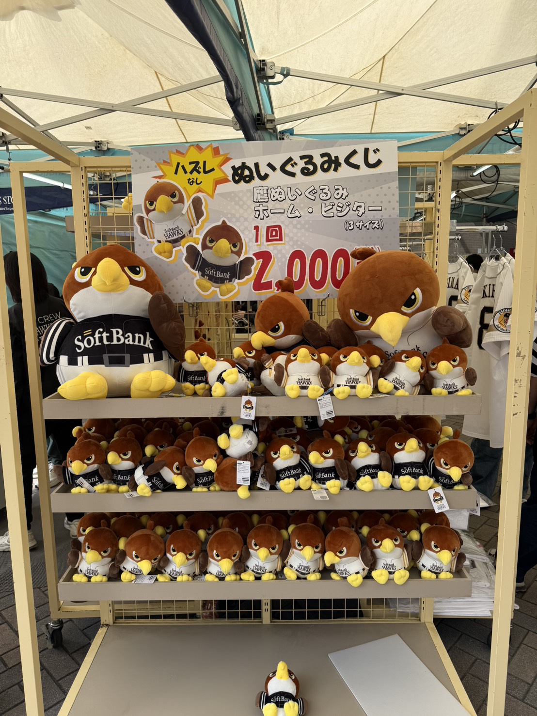 みずほペイペイドーム外周で3月27日の開幕戦から「タカぬい」くじがスタートした