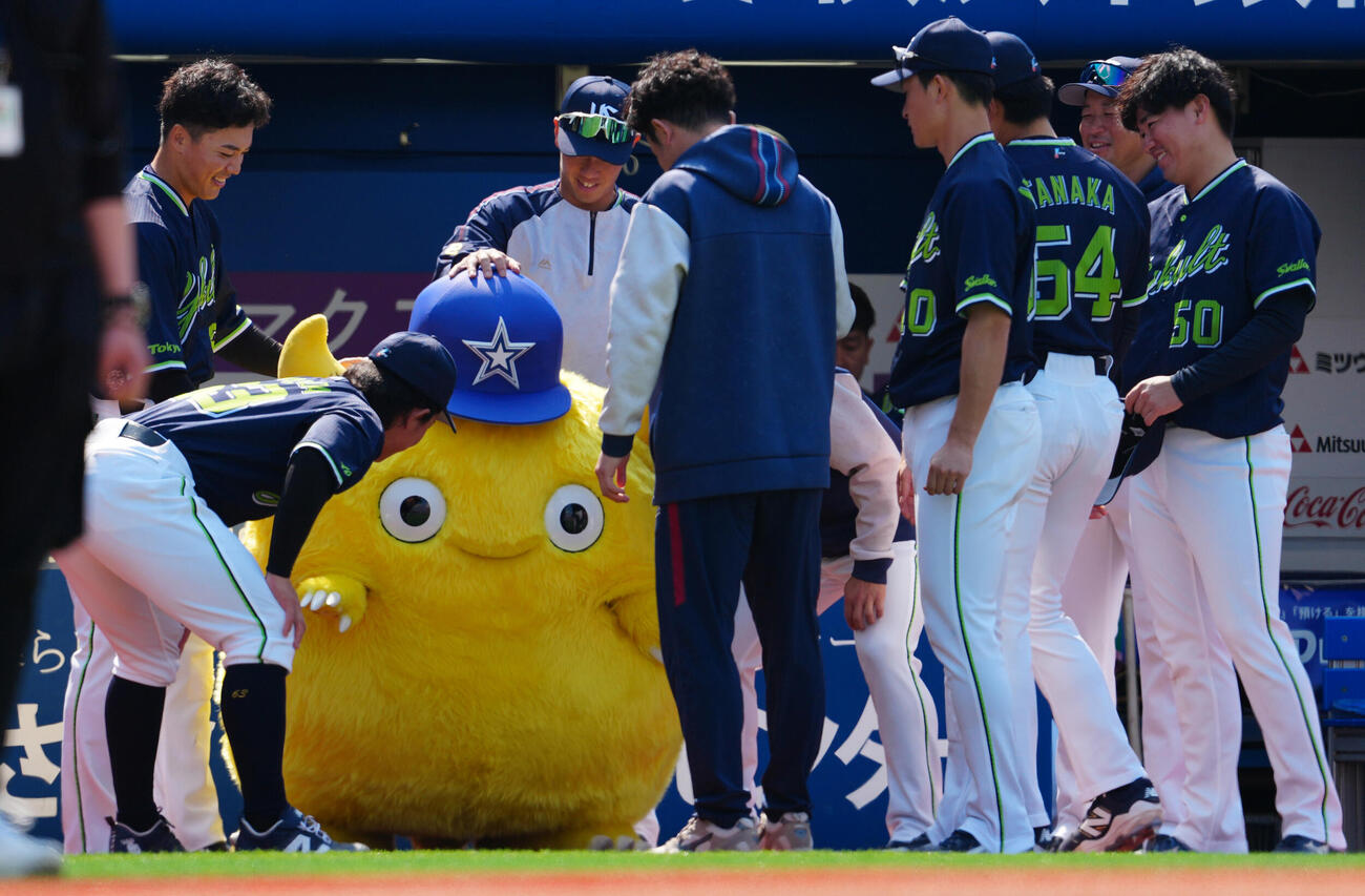 試合前、ヤクルトナインに囲まれるチャピー（撮影・鈴木みどり）