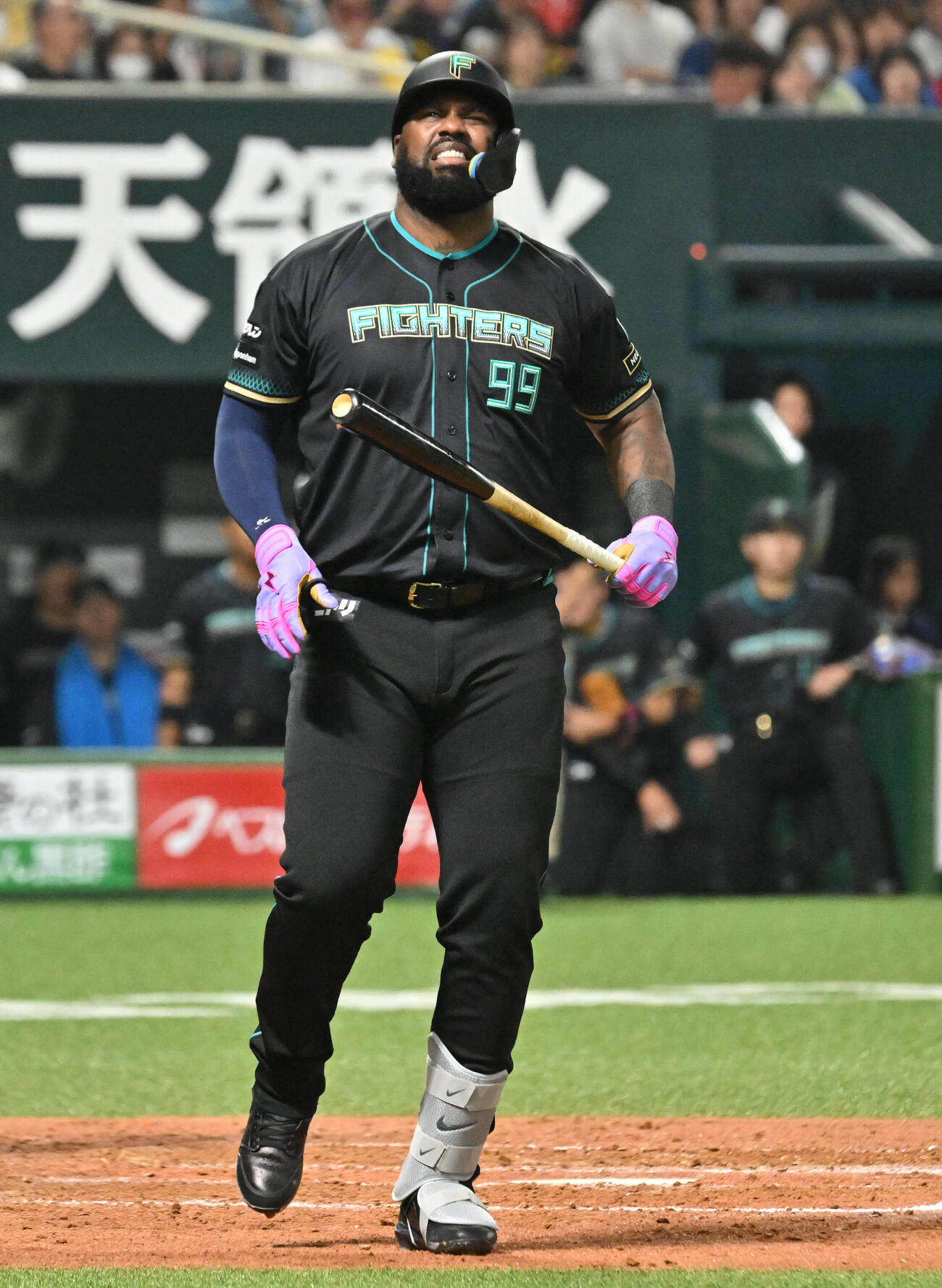 ソフトバンク対日本ハム　5回表日本ハム1死一塁、レイエスは死球を受ける（撮影・林敢治）