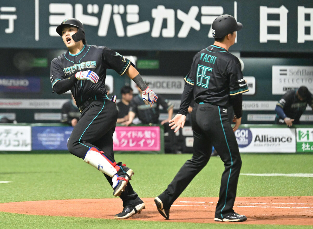 ソフトバンク対日本ハム　2回表日本ハム2死、野村（左）は先制本塁打を放つ（撮影・林敢治）