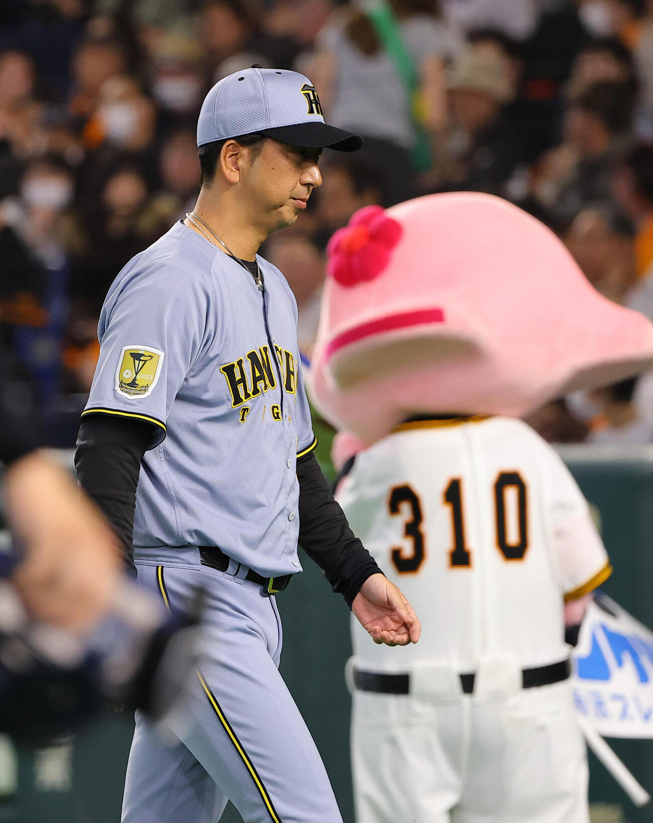巨人対阪神　選手交代を告げベンチに引き揚げる藤川監督（撮影・上田博志）
