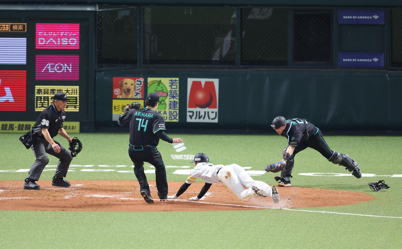 ソフトバンク対日本ハム　2回裏ソフトバンク2死三塁、打者近藤のとき有原が暴投、その間に三塁走者の川瀬が本塁をつく、その際に有原と田宮捕手が接触（撮影・梅根麻紀）
