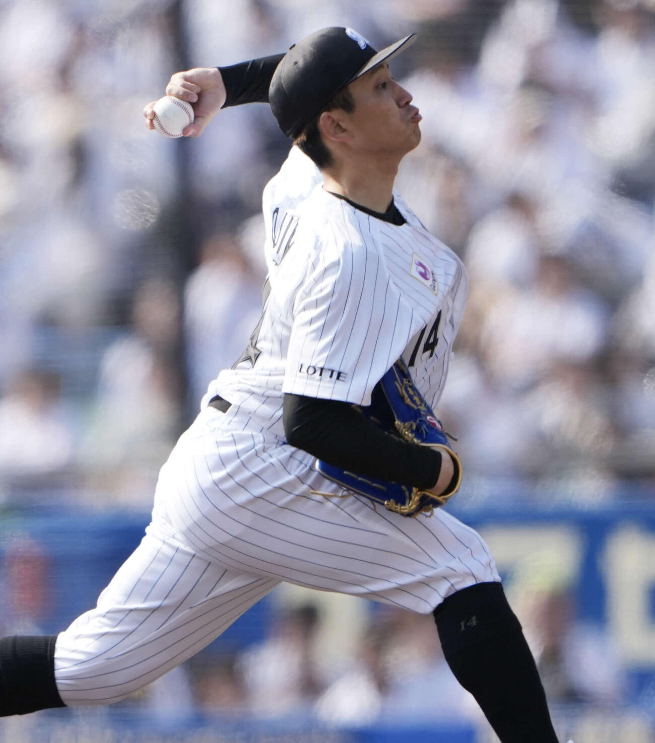 ロッテ対西武　ロッテ先発の小島（撮影・小島史椰）