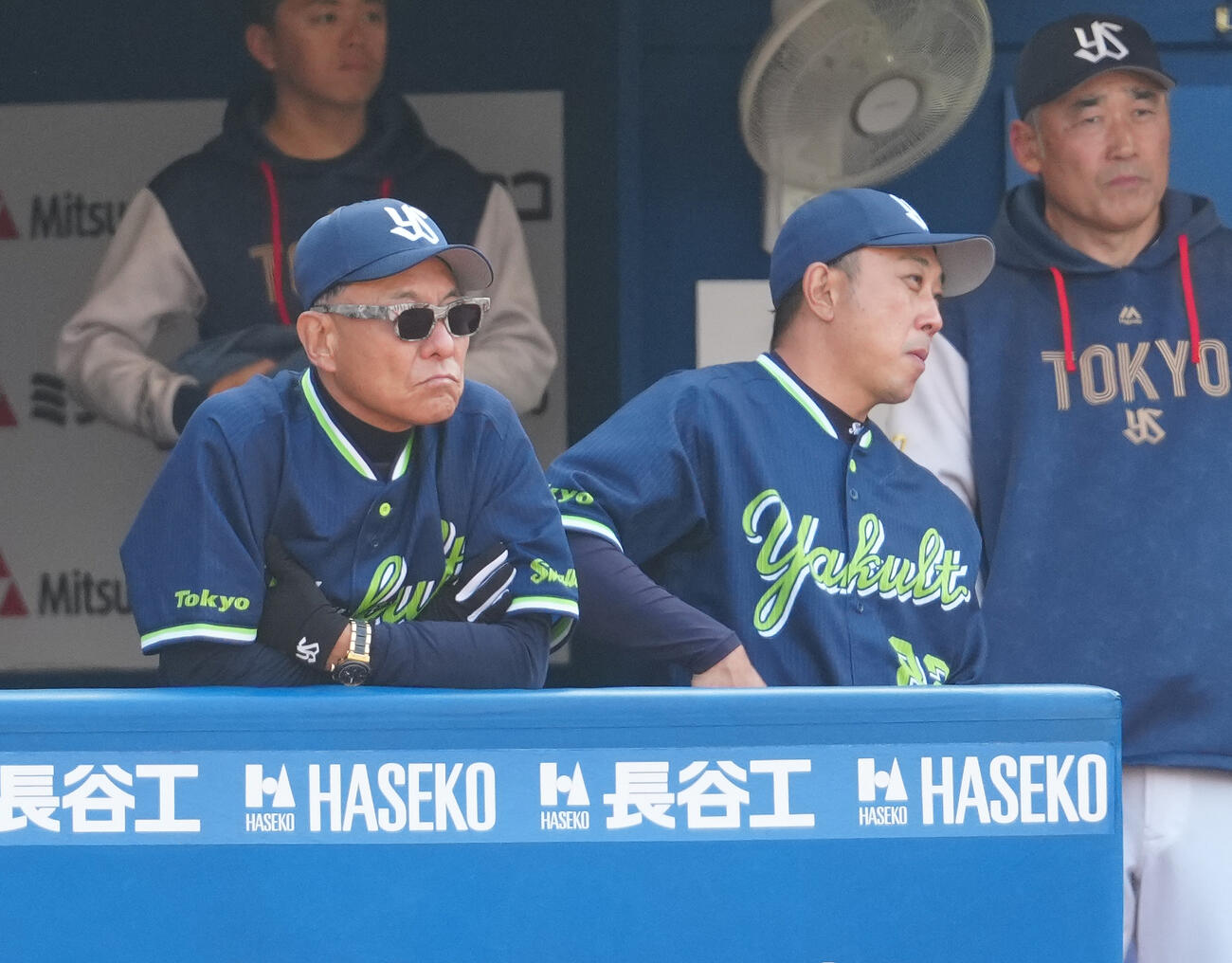 DeNA対ヤクルト　ベンチから試合を見るヤクルト池山監督（左）（撮影・鈴木みどり）