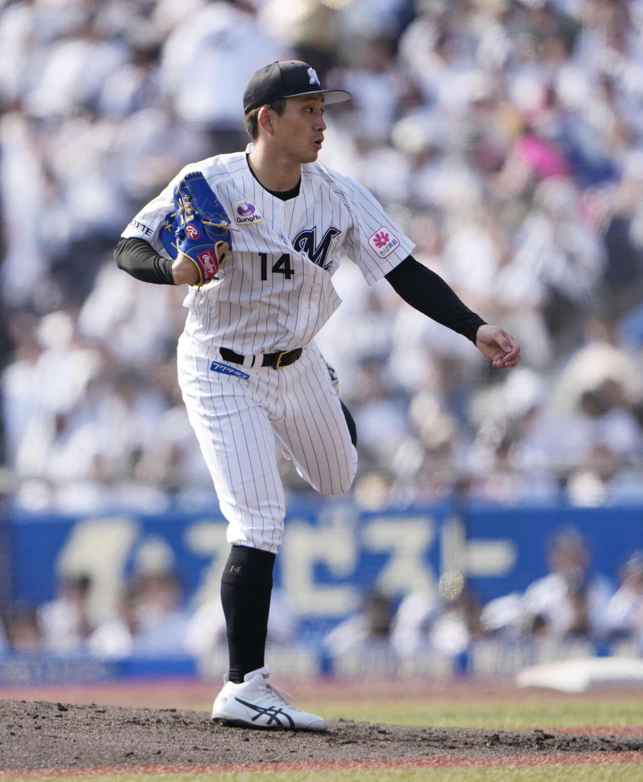 ロッテ対西武　ロッテ先発の小島（撮影・小島史椰）
