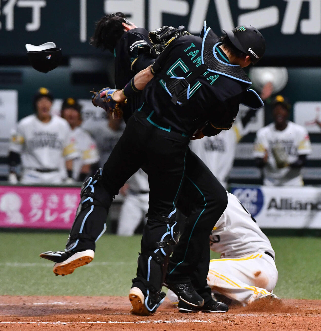 ソフトバンク対日本ハム　2回裏ソフトバンク2死三塁、暴投で生還した三塁走者の川瀬（右奥）を避けた際に捕手の田宮（右）とぶつかった有原（撮影・岩下翔太）