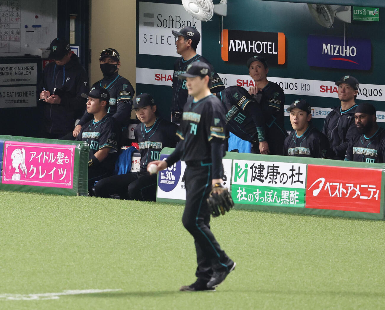 ソフトバンク対日本ハム　先発の有原をベンチから見つめる日本ハム新庄監督（撮影・梅根麻紀）