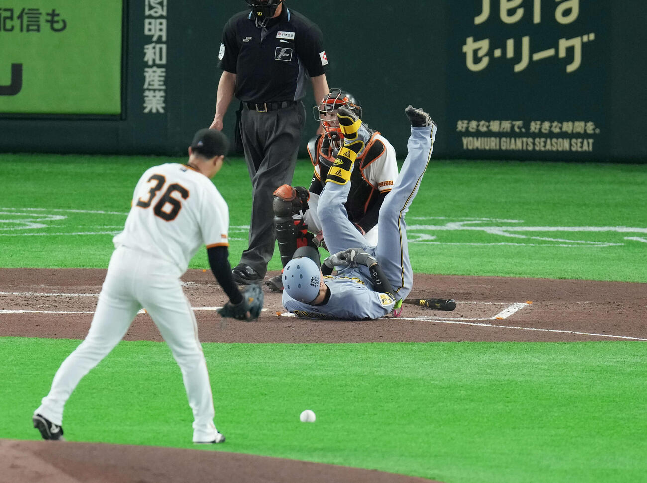 巨人対阪神　2回表阪神1死一塁、死球を受け倒れる伏見。投手は山城（撮影・増田悦実）
