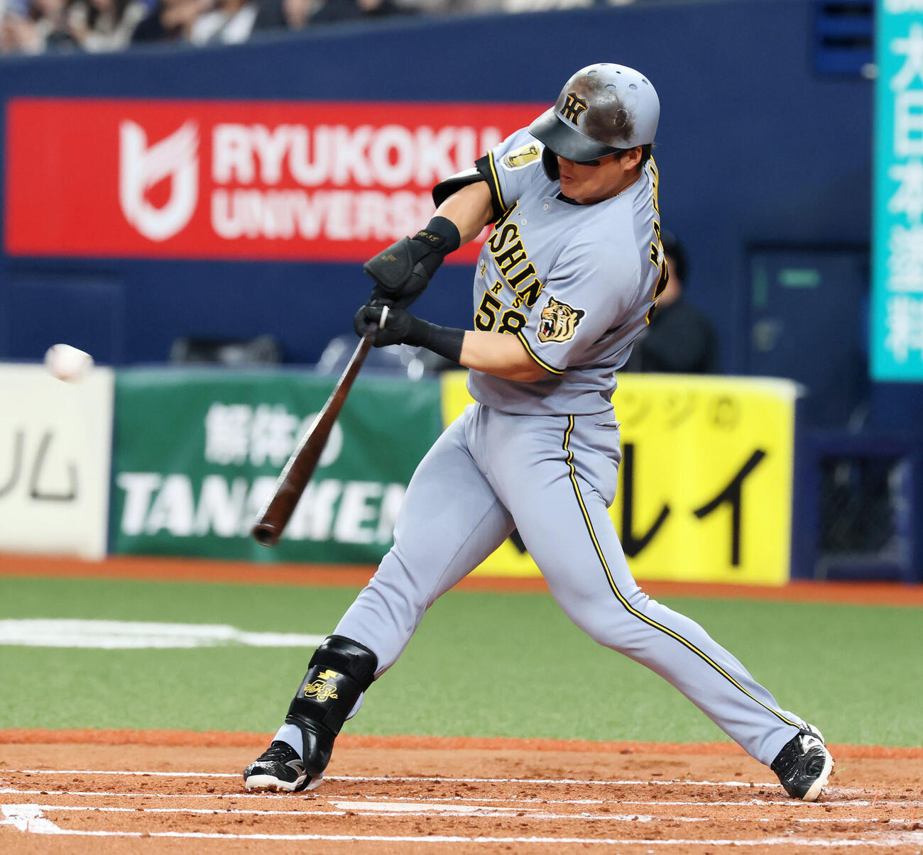 阪神前川右京（2026年3月24日撮影）